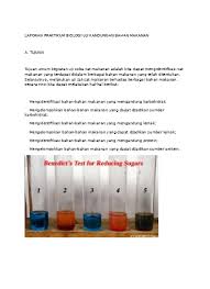 Uji makanan protein lemak karbohidrat. Laporan Praktikum Biologi Uji Kandungan 1