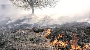 Image result for global warming photos