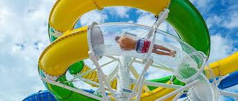 Cruisers can enjoy a selection of freshly prepared menu items including the popular tutti salad, pasta specials, sandwiches, and more. Things To Do Freedom Of The Seas Royal Caribbean Cruises