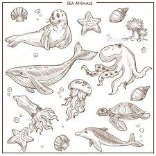 Sea And Ocean Animals Or Fish Vector Sketch Animals Ocean Sea Sketch In 2020 Fish Sketch Sea Animals Drawings Vector Sketch