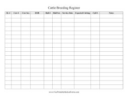 Pin On Printables