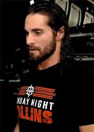 36 Seth Rollins ideas
