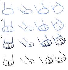 Raptors' feet (talons) are very strong, thick, with hooked claws; Realistic Cat Paw Drawing Novocom Top