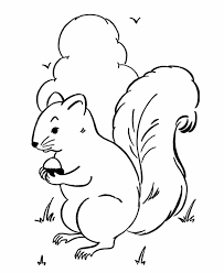 Wild Animals Pics For Drawing Big Books Small Girls To ask other readers questions about how to draw wild animals, please sign up.