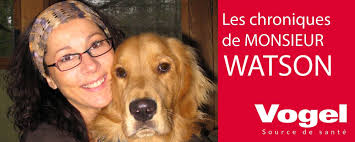 L'arrivée d'un nouvel animal à la maison