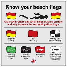 South African Beach Flags What Do They Mean Beach Flags Beach Words South Africa Beach