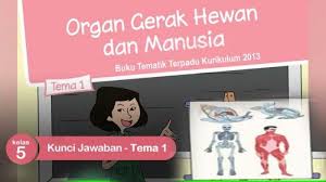 Maybe you would like to learn more about one of these? Kunci Jawaban Tema 1 Kelas 6 Subtema 3 Halaman 160 163 164 166 167 Lingkungan Dan Manfaatnya Tribun Pontianak