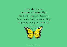 25 Butterfly Quotes That Will Inspire And Motivate You Butterfly Quotes Fly Quotes Quotes