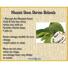 We did not find results for: Pokok Durian Belanda Shopee Malaysia