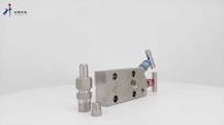 316 Stainless Steel Coplanar Two Valve Manifold 316 Female Npt for Gas