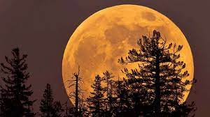 Keep reading this astrosage special article to keep track of the lunar calendar corresponding to the year 2021. C5o4cdzmrrfsem