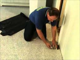 Tips and tricks from clay king at aaa flood drying with over 27 years experience. How To Remove Wet Carpet In Basement Youtube