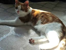 Lark Martin (@LarkMartin3)