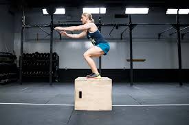 Who will rise to the top and prove the fittest? 2017