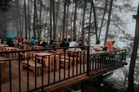 Pegunungan yang cantik dan hijau ini bisa membuat pikiran jadi segar kembali. 5 Kafe Yang Berada Di Tengah Hutan Pinus Sejuk Dan Estetik