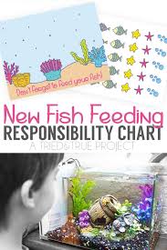 New Fish Responsibility Chart Tried True Creative