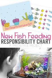 new fish responsibility chart tried true creative