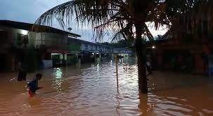 We did not find results for: Mentakab 21 Okt Bicara Peluru Betunang Naga Tasik Chini Facebook