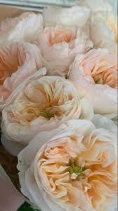 With over 300 seasonal varieties to choose from the grower and are proud to offer flowers that are fresher than a florist or local market. Pin On Wedding Flowers