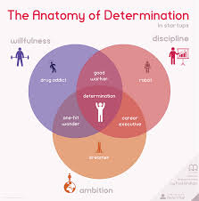The Anatomy Of Determination In Startups Infographic Chart Startup Infographic Startup Branding Startup Inspiration