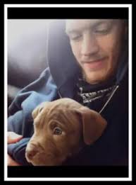 Obituary information for Cook, Jonah Desmo