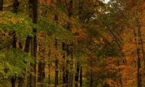 227 cockeysville road, cockeysville, md 21030 directions. The Best Available Hotels Places To Stay Near Hunt Valley Md