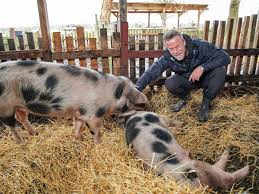 Letztes jahr hat uns rich piana bereits informiert das er mit einem deutschen fernsehtermin einige termine abgedreht hat. Hamm Jenke Von Wilmsdorff Macht Krasses Experiment Leben Und Tod Promi Tv