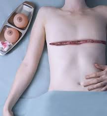 Breasts, Yoav Katz | The Short Story Project