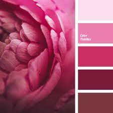 Went from black and pink to auburn and reddish orange for fall. Dark Pink Color Palette Ideas