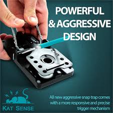 Pest control rat traps are good for outdoor and indoor use. Kat Sense Amazon Com