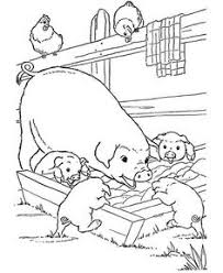 A set of seven different color and learn pages, each featuring a baby farm animal, foot prints, and facts for children to learn. Mother And Baby Farm Animals Coloring Pages