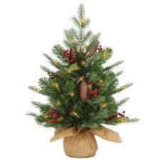 If you are in charge of choosing the tree, we know you. Lighted Small Christmas Tree Target