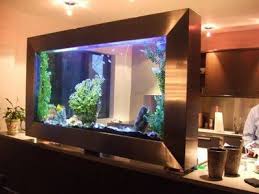 Aquarium Aquarium Design Aquarium Aquarium Raumteiler