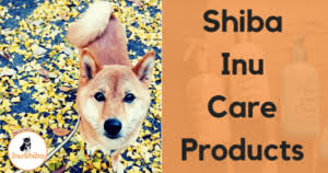 Shiba price will be lower than many existing cryptocurrencies. Shiba Inu Price How Much Is A Shiba Inu Inushiba