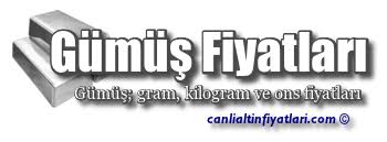 Serbest piyasa gümüş kuru bugün kaç para? Gumus Fiyatlari Canli Altin Fiyatlari