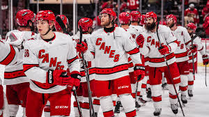 Anitta brasileña erome