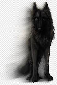 Pet anime anime animals anime art manga anime mythical creatures art fantasy creatures cute animal drawings cute drawings wolf drawings. White Wolf Camera Drawing Anime Boy Rose Drawing Skull Drawing Cute Anime Eyes 589271 Free Icon Library