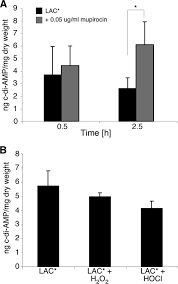 As endangered birds lose their songs, they can't find mates. Cross Talk Between Two Nucleotide Signaling Pathways In Staphylococcus Aureus Journal Of Biological Chemistry