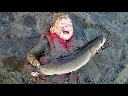 Greenfish icon editor pro (gfie pro) is a powerful open source image editor, especially suitable for creating icons, cursors, animations and icon libraries. Catch Cook Bowfin Aka Mudfish Choupique Grinnel Dogfish How To Catch Bowfin Youtube