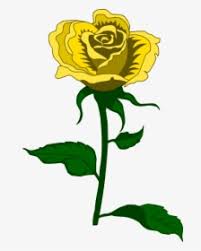 Feel free to open the rose the way you want it to look, gently separate petals if necessary. Rose Drawing Png Images Free Transparent Rose Drawing Download Kindpng