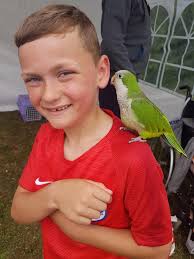 Pegasus F.C Stapleford