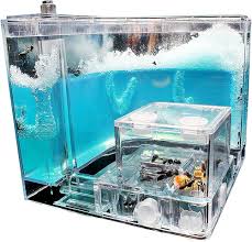 Amazon.co.jp: アリ飼育キット アリの巣観察キット アリ 自由研究 飼育ケース 飼育セット 水槽 砂なし 観察 アリの巣 キット 女王アリ  飼育 蟻用飼育ケース アリ飼育箱 昆虫 自由研究 生物実験 科学実験 観察日記 自然 生物 教育玩具 サイズ：約110 x 110 x 110 :  ペット用品