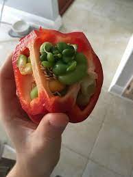 This Bell Pepper Has Other Bell Peppers Growing Inside Of It Stuffed Peppers Growing Bell Peppers Fruits And Veggies