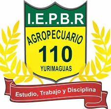 Institución Educativa Básica Regular Agropecuario Número 110