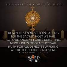 Throughout our lives, if we were raised catholic, we were taught reverence for the eucharist. Catholic Quotes On Corpus Christi The Feast Of Corpus Christi The Most Holy Body And Blood Of Christ St Robert Of Newminster Morpeth
