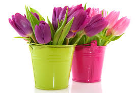 Three occasions that are perfect for patriotic party decorations. Spring Party Decorations