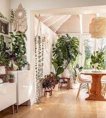 Urban Jungle Indoor Plants Idea Interior Decor Budget Home Decorating Home Decor Decor