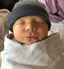 Meet Sudbury's newest citizens