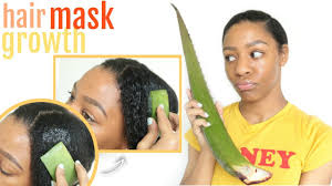Cut off a leaf from the aloe vera plant. Aloe Vera For Hair Benefits How To Use Aloe Vera In Hair