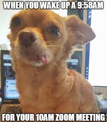 Updated daily, for more funny memes check our homepage. 35 Best Posts About The Everyday Realities Of Zoom Meetings Bored Panda
